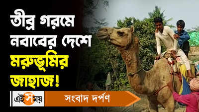 Sagardighi News: তীব্র গরমে নবাবের দেশে মরুভূমির জাহাজ!