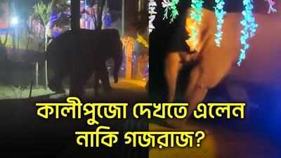 Viral video: কালীপুজো দেখতে এলেন নাকি গজরাজ