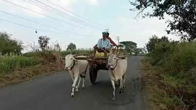 Crop insurance: ಬರವಿದ್ದರೂ ಚಿಕ್ಕಬಳ್ಳಾಪುರ ರೈತರಿಗೆ ವಿಮೆ ಪರಿಹಾರ ಶೂನ್ಯ!