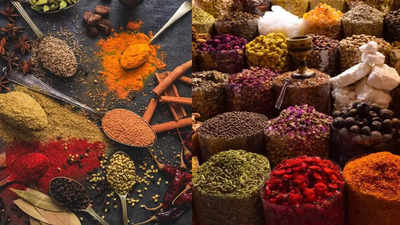 Indian Spices : भारतीय मसाल्यांची बदनामी करण्याचे षडयंत्र, नाग विदर्भ चेंबर ऑफ कॉमर्सचा दावा