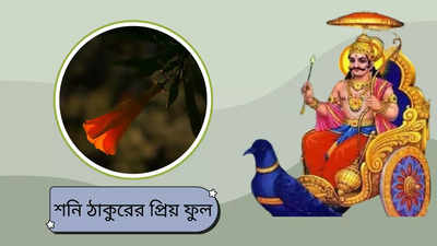 Shaniwar Upay: শনিবারে এই ফুল দিয়ে পুজো করুন বড় ঠাকুরের, শনিকে তুষ্ট করতে এই একটা ফুলই যথেষ্ট