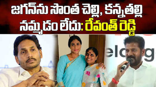 revanth reddy countered ap cm ys jagan reddy comments during lok sabha elections 2024