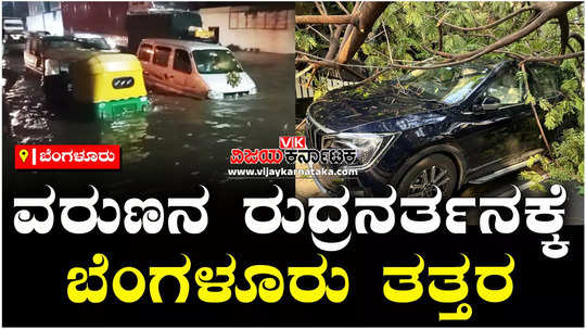 heavy rain cause havoc in bengaluru uproots 80 trees