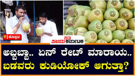 summer drives up coconut water prices in koppal to rs 50 per piece