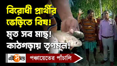 WB Panchayat Election 2023 :  বিরোধী প্রার্থীর ভেড়িতে বিষ! মৃত সব মাছ! কাঠগড়ায় তৃণমূল!