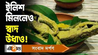 Hilsa Fish Taste : ইলিশ মিললেও স্বাদ উধাও!