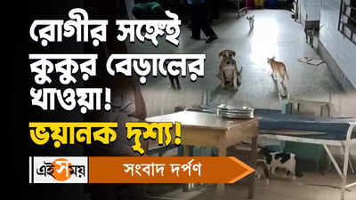 Bhatpara Hospital Video : রোগীর সঙ্গেই কুকুর বেড়ালের খাওয়া! ভয়ানক দৃশ্য!