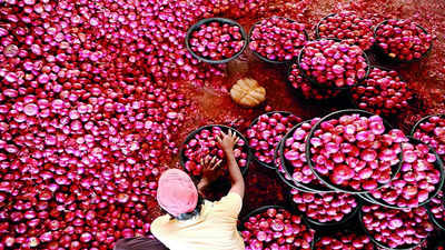 Onion : उत्पादन खर्च ८० हजार अन् उत्पन्न ६० हजार! कांदा उत्पादकांची व्यथा; नाफेडच्या धोरणांवर संताप