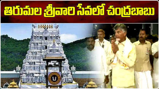 tdp chief nara chandrababu naidu visit tirumala temple