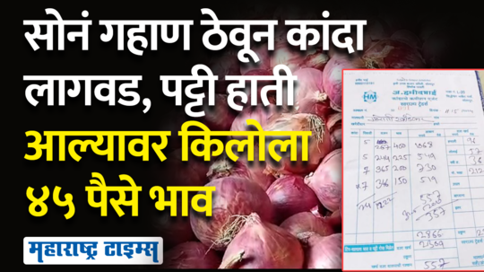 the farmer took gold as a mortgage for onion cultivation the price of 45 paise per kg when the strip was handed over solapur