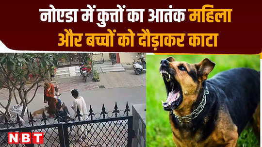 dog attacks woman and child in noida