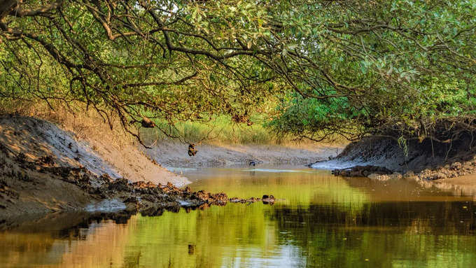 ದಾವಣಗೆರೆಯಲ್ಲಿನ ಪ್ರಮುಖ ಪ್ರವಾಸಿ ಆಕರ್ಷಣೆಗಳು