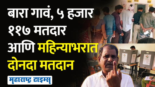 chandrapur lok sabha election twice voting case