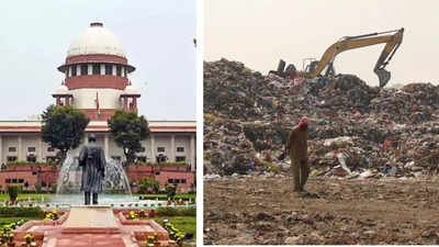 सॉलिड वेस्ट पर दिल्ली में नगर निगम क्यों करा रहा अपना कचरा, अब SC ने लगाई फटकार