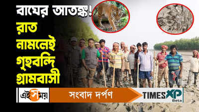 Royal Bengal Tiger : বাঘের আতঙ্ক! রাত নামলেই গৃহবন্দি গ্রামবাসী