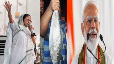 मोदी बाबू चखेंगे? मैं आपके लिए पकाऊंगी, पर क्या आप खाएंगे?, मछली विवाद में बंगाल CM ममता बनर्जी का PM पर तंज