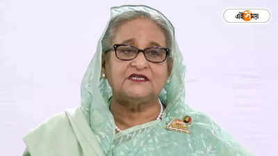 Sheikh Hasina: কোটি কোটি টাকা ঋণ, ভারতের কাছে কত ধার বাংলাদেশের?