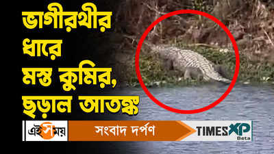 Dhubulia Crocodile Panic : ভাগীরথী নদীর ধারে মস্ত কুমির, গ্রামবাসীদের মধ্যে ছড়াল আতঙ্ক