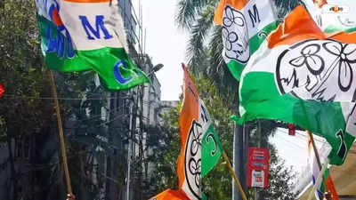 Trinamool Congress: অবাঙালি-সংখ্যালঘু ভোট বাড়াতে সক্রিয়তা তৃণমূলে
