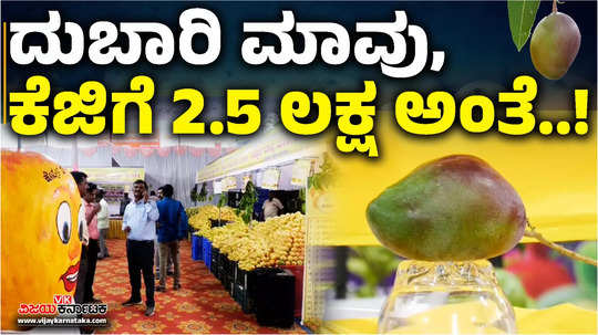 expensive mango at the mango fair in koppal district rs 2 5 lakh per kg