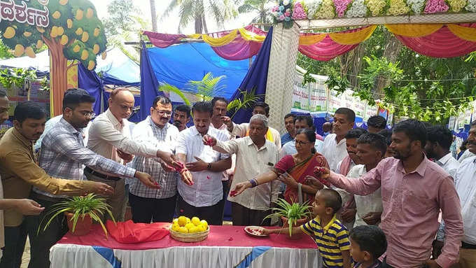 mango fair in dharwad