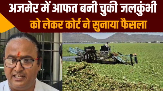 court gave its verdict regarding water hyacinth which has become a menace in ajmer