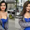 అషూ అందాల జాతర.. ఈసారి అంతకుమించి షో