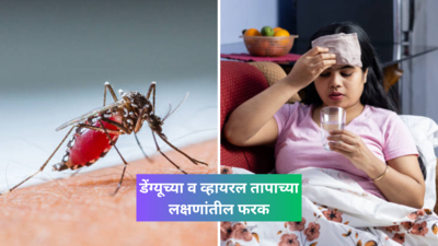 डेंग्यूची छोटी अळी नेते मृत्यूच्या बेडवर, ही 5 लक्षणं डेंग्यू व व्हायरल तापातील फरक, करा हे उपाय