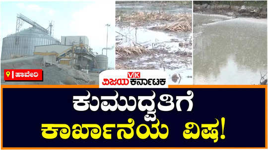 haveri ranebennur polluted water from factories to kumudvathi river affecting cattle drinking source