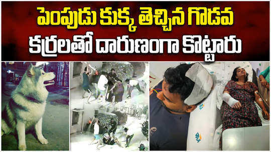 neighbor youth attacked owner because the pet dog came into house in hyderabad video gose viral