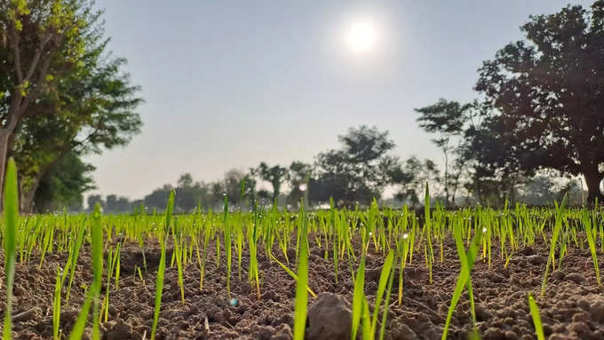 ಈ ಸ್ಥಳವು ಧೂಮಪಾನ ನಿಷೇಧಿತ ಸ್ಥಳವಾಗಿದೆ