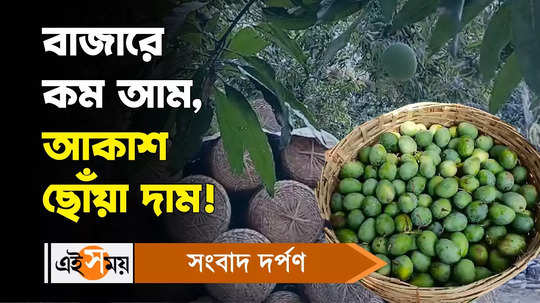 Himsagar Mango: বাজারে কম আম, আকাশ ছোঁয়া দাম!