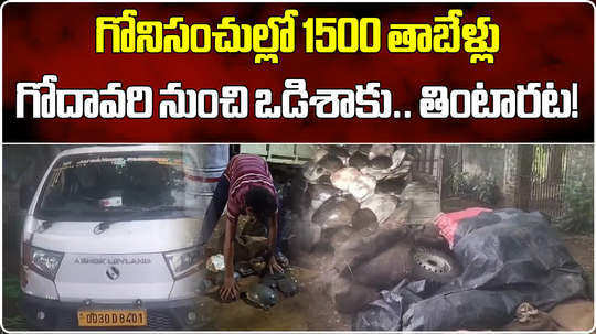 forest officials seized 1500 turtles that were illegally transported in alluri sitharama raju district