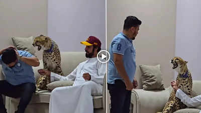 Cheetah Attack Video: पाकिस्तानी बंदे ने पालतू चीते के सिर पर फेरा हाथ, जानवर ने एक झटके में उसकी गुद्दी नाप दी, वीडियो वायरल