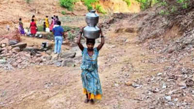 Palghar Water Crisis: पालघर जिल्ह्यात महिलांची पाण्यासाठी वणवण, नद्या पडल्या कोरड्या तर विहिरींनी गाठला तळ