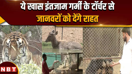 rajasthan news these special arrangements will give relief to animals from the torture of summer 