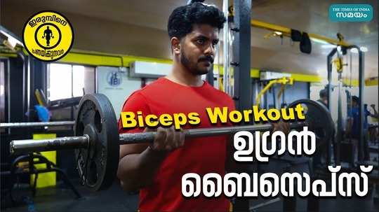 biceps workout for beginers