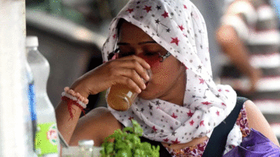 महाराष्ट्र में गर्मी का तांडव, 74 दिनों में 241 लोग हुए हीट स्ट्रोक का शिकार