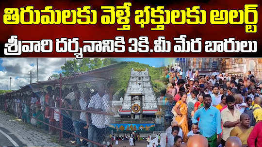 devotees continue to rush to tirumala due to summer vacations