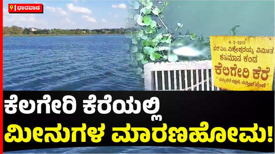 dharwad kelageri lake water contamination fish dead action required agriculture university and corporation