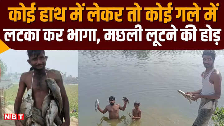 bihar competition to loot fish in sikandarpur lake of muzaffarpur