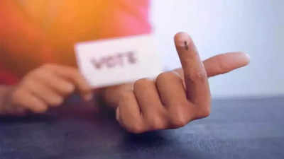Lok Sabha Elections 2024: मतदान सत्पात्री पडो! नाशिक-दिंडोरीसह धुळे लोकसभेसाठी आज निवडणूक
