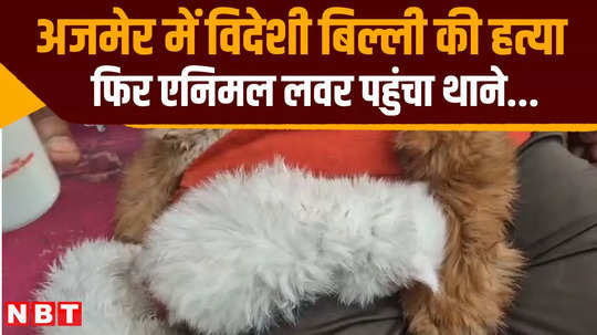 foreign cat was murdered in ajmer animal lover filed a case in police station