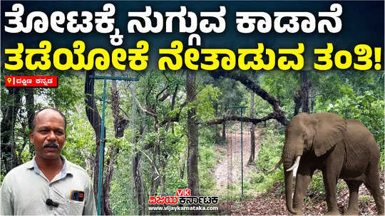 hanging solar power fencing solution to stop wild elephant entry to farms deter jumbos in dakshina kannada