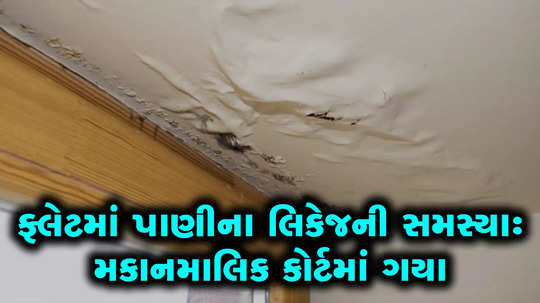 water leakage in house owner moves to gujarat high court