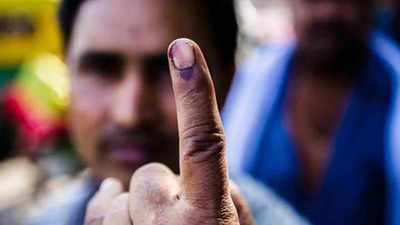 लोकसभा चुनाव की वोटिंग में झांसी के तीन बूथों ने किया कमाल, दर्ज हुआ 100 फीसदी मतदान का रेकॉर्ड
