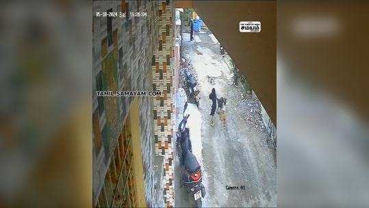 cctv footage of stray dogs chased the girl