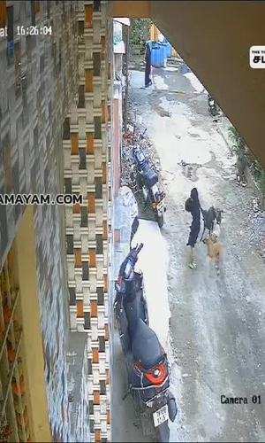 cctv footage of stray dogs chased the girl