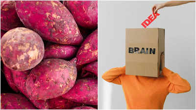 Sweet Potato Benefits: দ্রুত কাজ করবে ব্রেন, দূরে থাকবে অ্যাসিডিটি! গরমে মিষ্টি আলু খাওয়ার উপকারিতা জানেন?