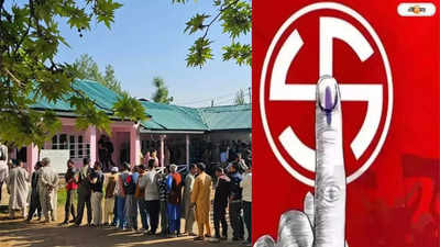 Lok Sabha Election: বাংলায় ভোটের হার কমায় লাভ কার, জল্পনা শুরু